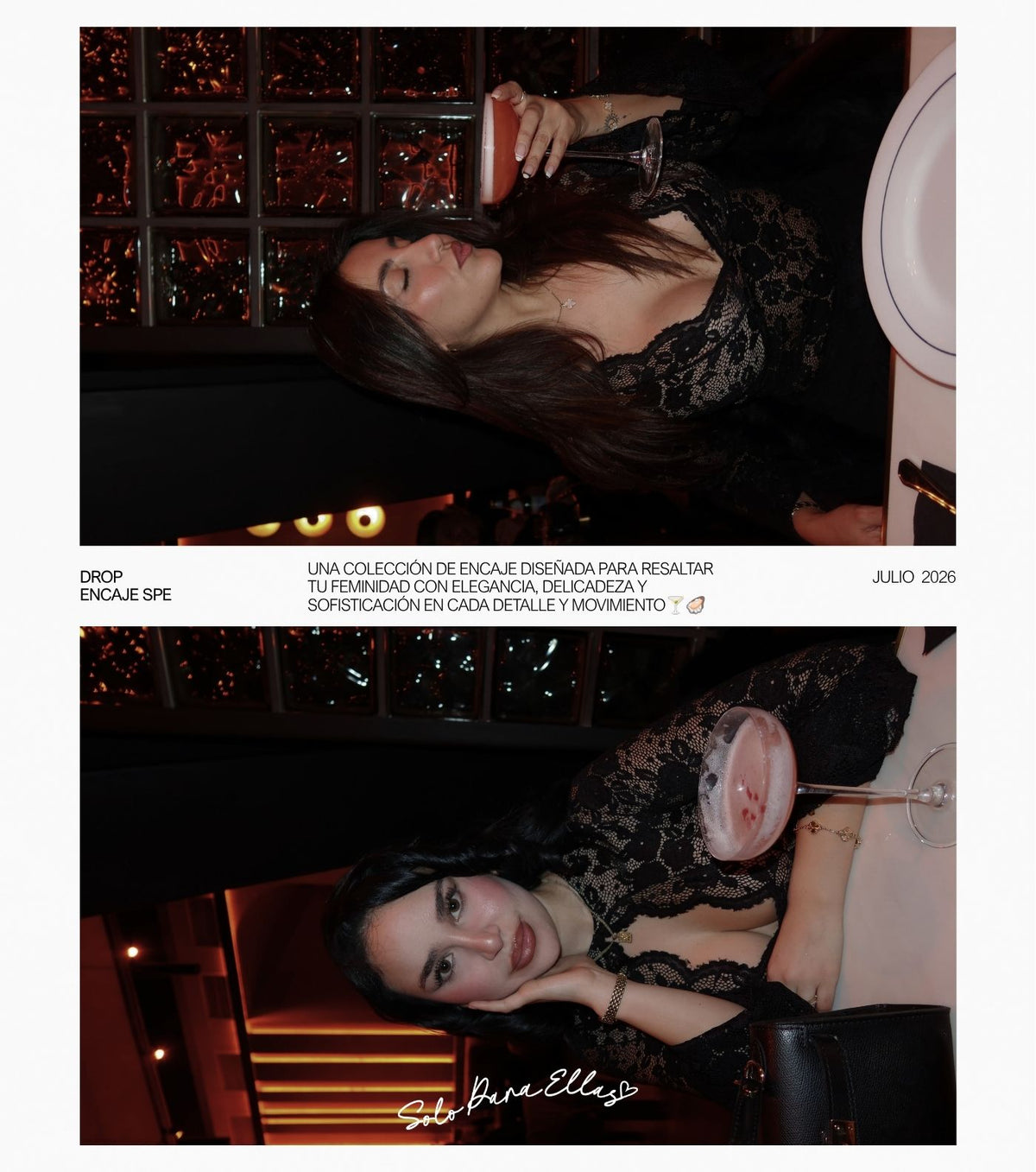 The_autumn_collection_b0d99ccd bb98 4ac1 bc5d 229b39756613